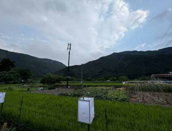 花火大会最高でした（｀･ω･´）ゞﾋﾞｼｯ!!