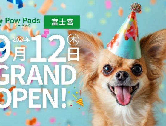 ９月１２日！PawPads富士宮店グランドオープンしました（｀･ω･´）ゞﾋﾞｼｯ!!