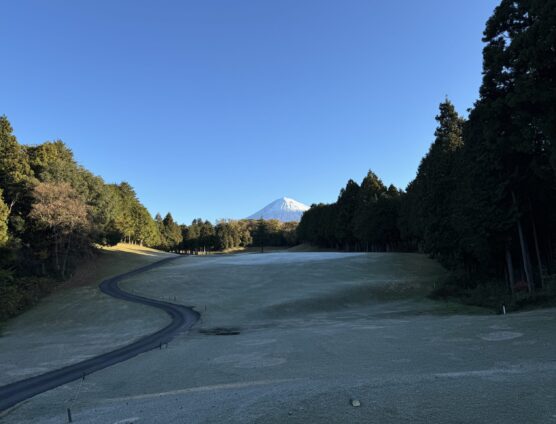 熱い戦いがまだまだ続きます(*´∇｀*)