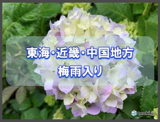 とうとう！この季節がやって来ました（;´∀｀）