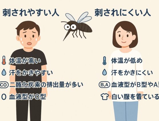 蚊に刺されやすい？（;´∀｀）