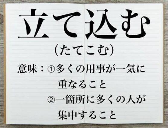 ブログ毎日更新を目指しております👍がっ！