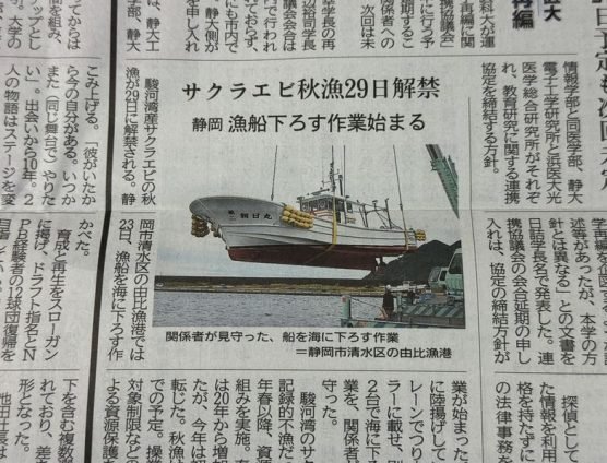 桜海老秋漁！始動です（｀･ω･´）ゞﾋﾞｼｯ!!