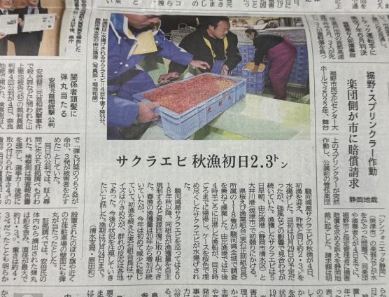 桜海老秋漁！スタートしております（｀･ω･´）ゞﾋﾞｼｯ!!