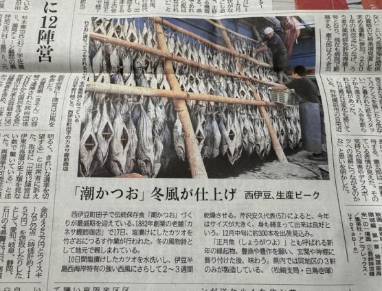 この時期の風物詩（｀･ω･´）ゞﾋﾞｼｯ!!