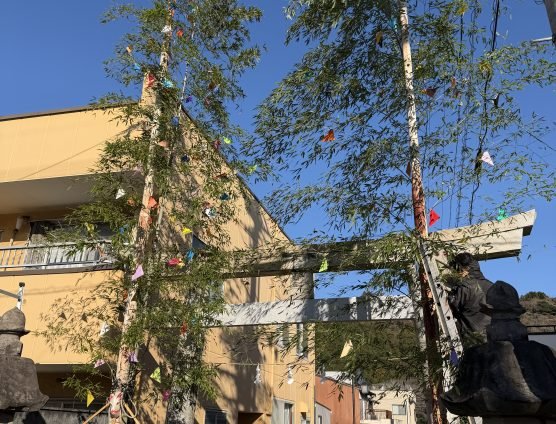 どんど焼きの準備完了（￣+ー￣）