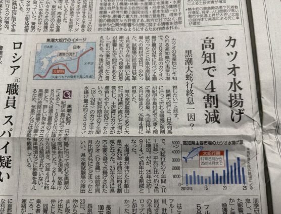 カツオ水揚げ！高知で４割減（;´∀｀）