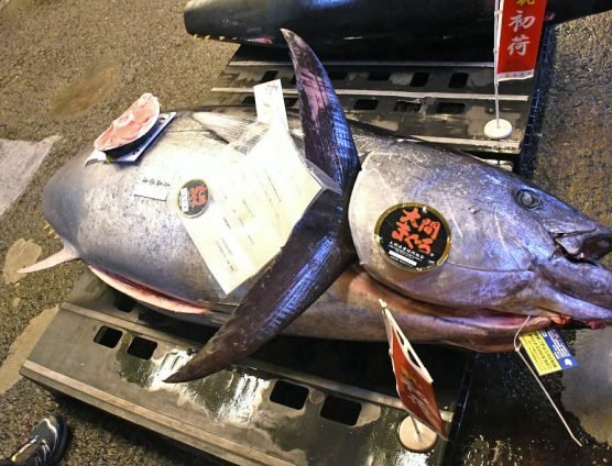 『金そば』～鮨割烹たか友編～