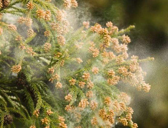 だし屋は全く大丈夫なんですが・・・・（;´∀｀）